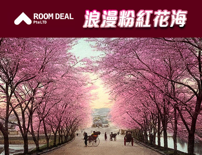 RoomDeal – 浪漫粉紅花海